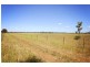 8354 Kamilaroi Highway, Gunnedah NSW 2380