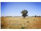 8354 Kamilaroi Highway, Gunnedah NSW 2380