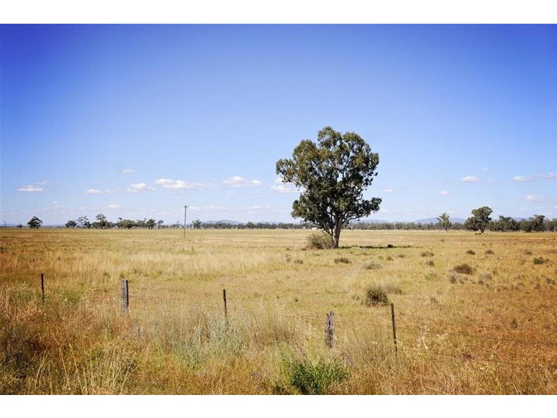 8354 Kamilaroi Highway, Gunnedah NSW 2380