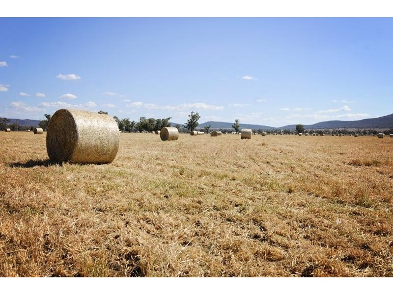 8354 Kamilaroi Highway, Gunnedah NSW 2380