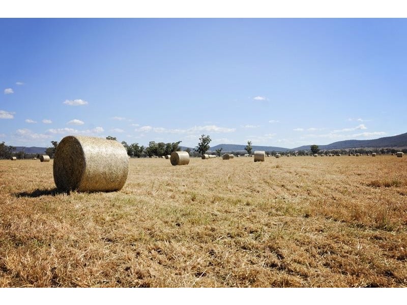 8354 Kamilaroi Highway, Gunnedah NSW 2380