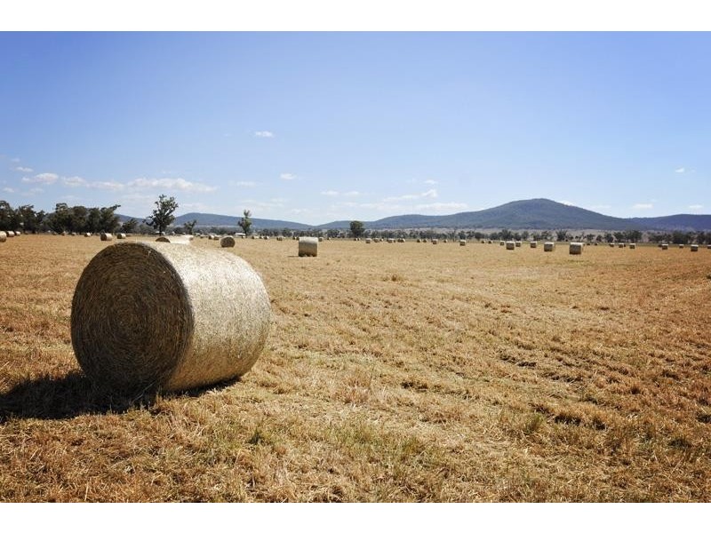 8354 Kamilaroi Highway, Gunnedah NSW 2380