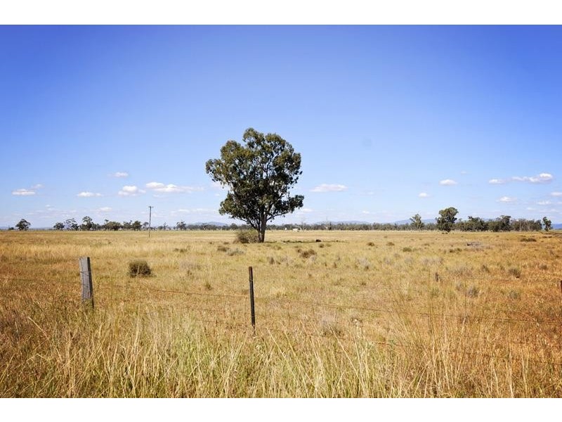 8354 Kamilaroi Highway, Gunnedah NSW 2380