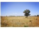8354 Kamilaroi Highway, Gunnedah NSW 2380