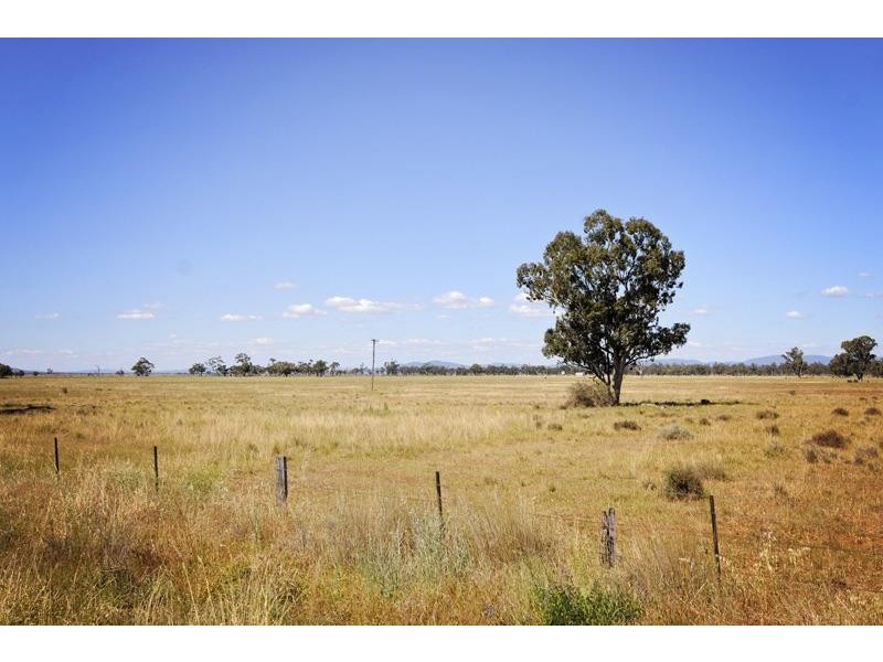 8354 Kamilaroi Highway, Gunnedah NSW 2380
