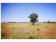 8354 Kamilaroi Highway, Gunnedah NSW 2380