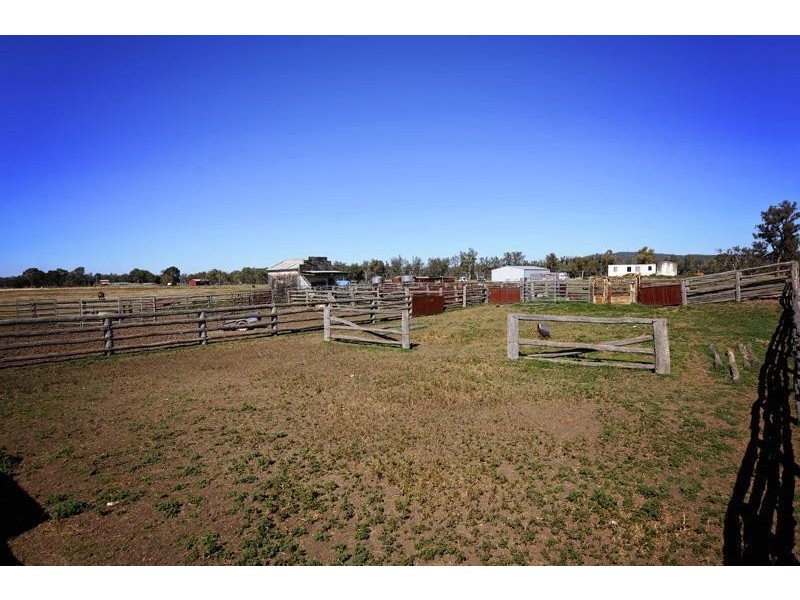 “Cattle Camp” Bluevale Vale, Gunnedah NSW 2380