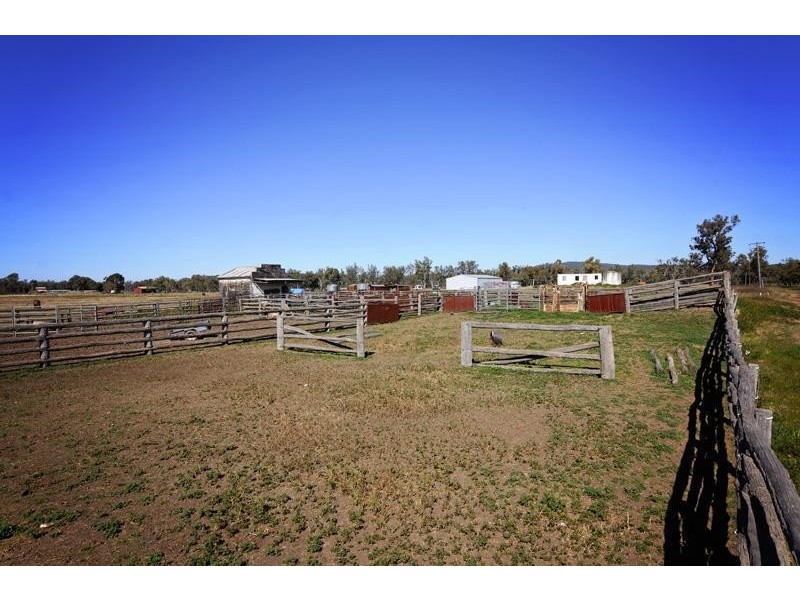 “Cattle Camp” Bluevale Vale, Gunnedah NSW 2380