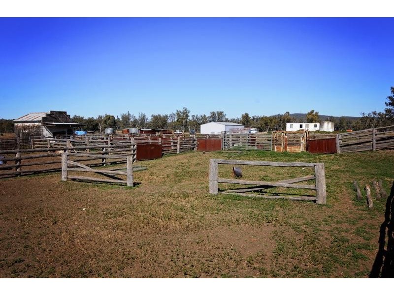 “Cattle Camp” Bluevale Vale, Gunnedah NSW 2380