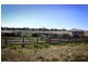 “Cattle Camp” Bluevale Vale, Gunnedah NSW 2380