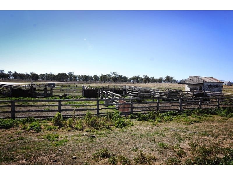 “Cattle Camp” Bluevale Vale, Gunnedah NSW 2380