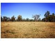 “Cattle Camp” Bluevale Vale, Gunnedah NSW 2380