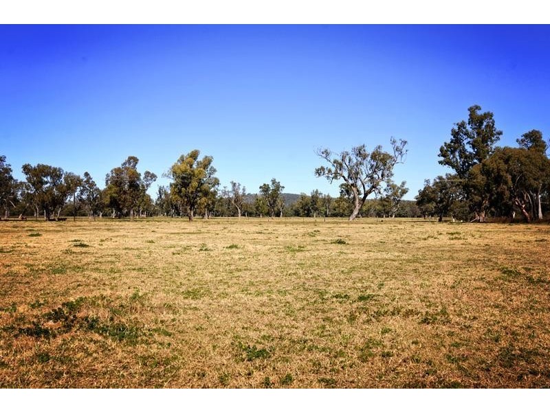 “Cattle Camp” Bluevale Vale, Gunnedah NSW 2380