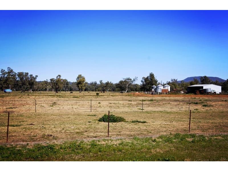 “Cattle Camp” Bluevale Vale, Gunnedah NSW 2380