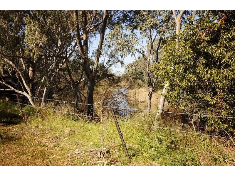 “Cattle Camp” Bluevale Vale, Gunnedah NSW 2380
