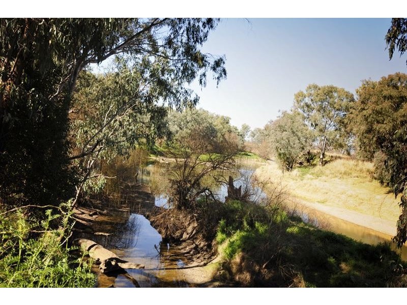 “Cattle Camp” Bluevale Vale, Gunnedah NSW 2380