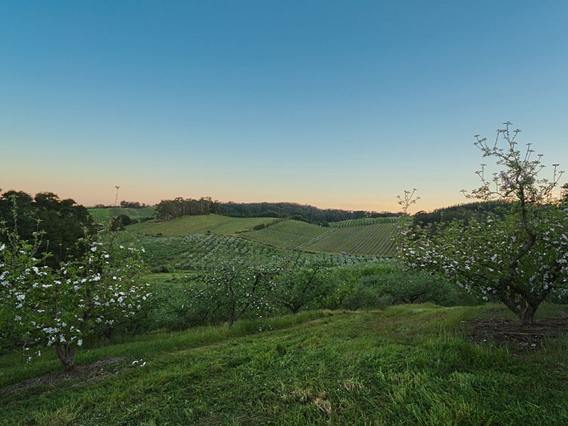 1 Hewletts Road, Forest Range SA 5139