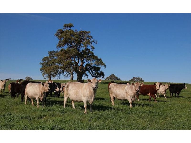 70 Scottsburn Road, Woodside SA 5244