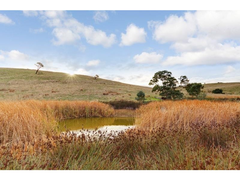 310 Sawpit Gully Road, Dawesley SA 5252