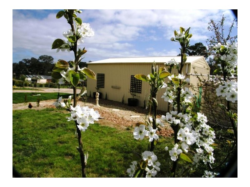 21 Durham Court, Mount Barker SA 5251