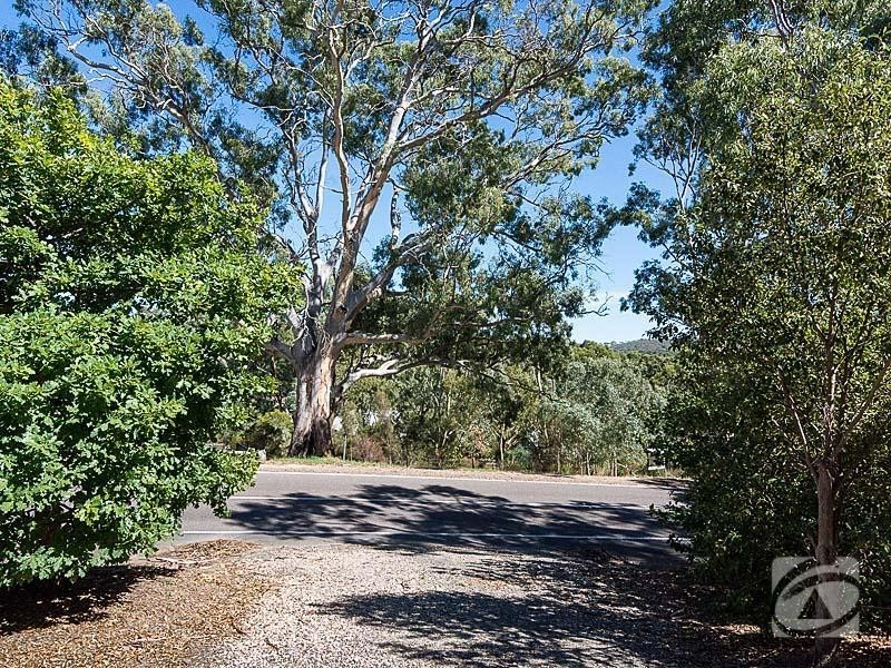 75 Venables Street, Macclesfield SA 5153