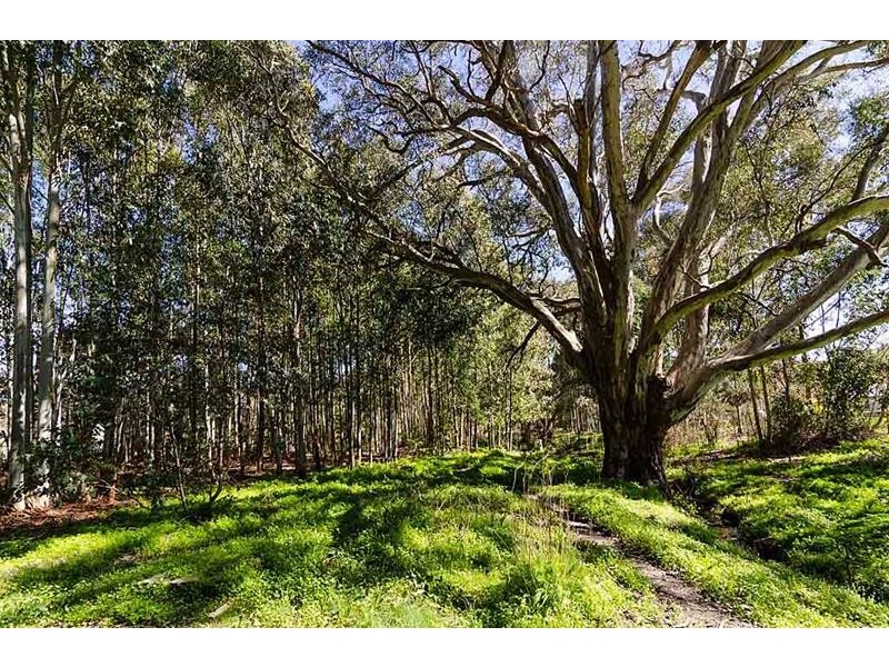 7 Walters Road, Oakbank SA 5243