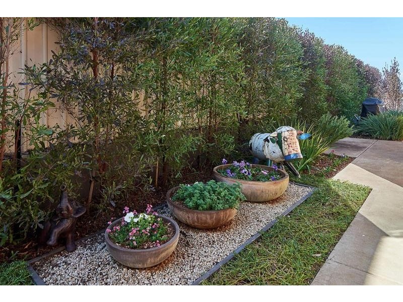 11 Mooney Circuit, Nairne SA 5252