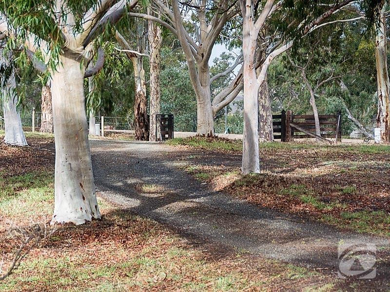 477 Burfords Hill Road, Mount Torrens SA 5244