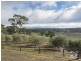 477 Burfords Hill Road, Mount Torrens SA 5244