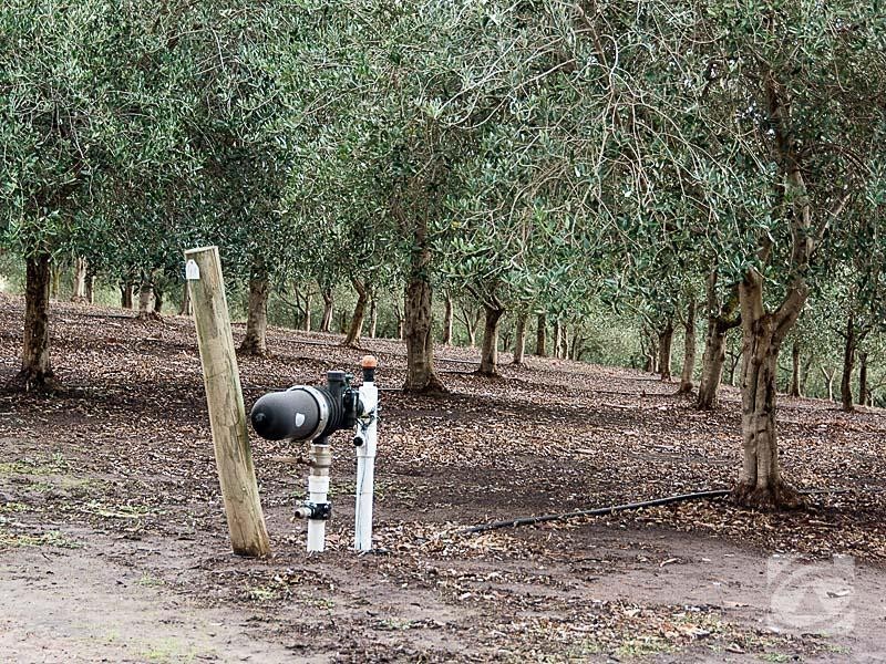 477 Burfords Hill Road, Mount Torrens SA 5244