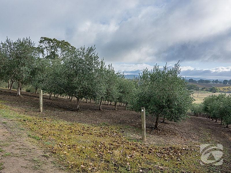 477 Burfords Hill Road, Mount Torrens SA 5244