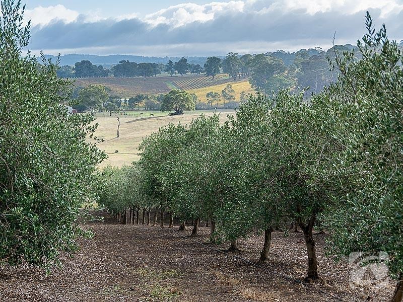 477 Burfords Hill Road, Mount Torrens SA 5244