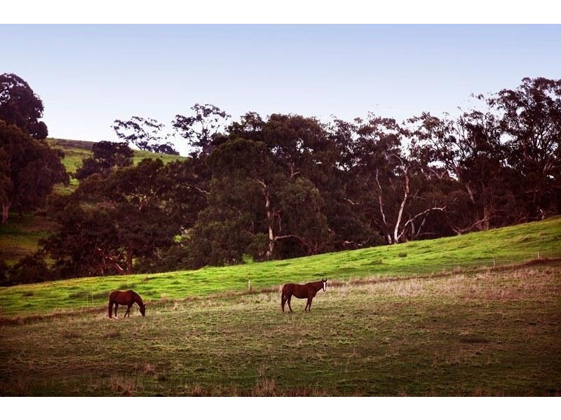 189 Pyrites Road, Nairne SA 5252