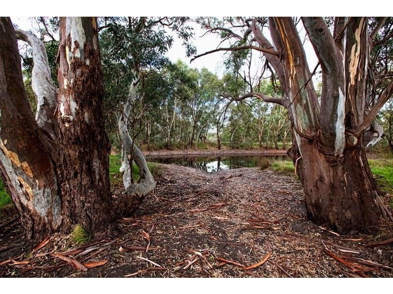 189 Pyrites Road, Nairne SA 5252