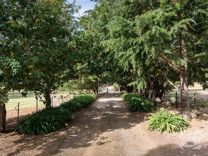 61 Henry Road, Blakiston SA 5250