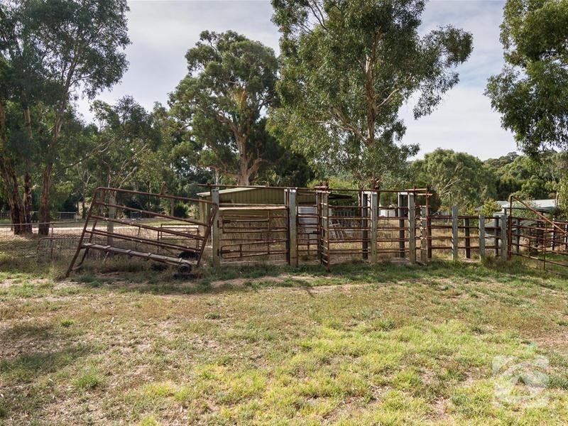 61 Henry Road, Blakiston SA 5250