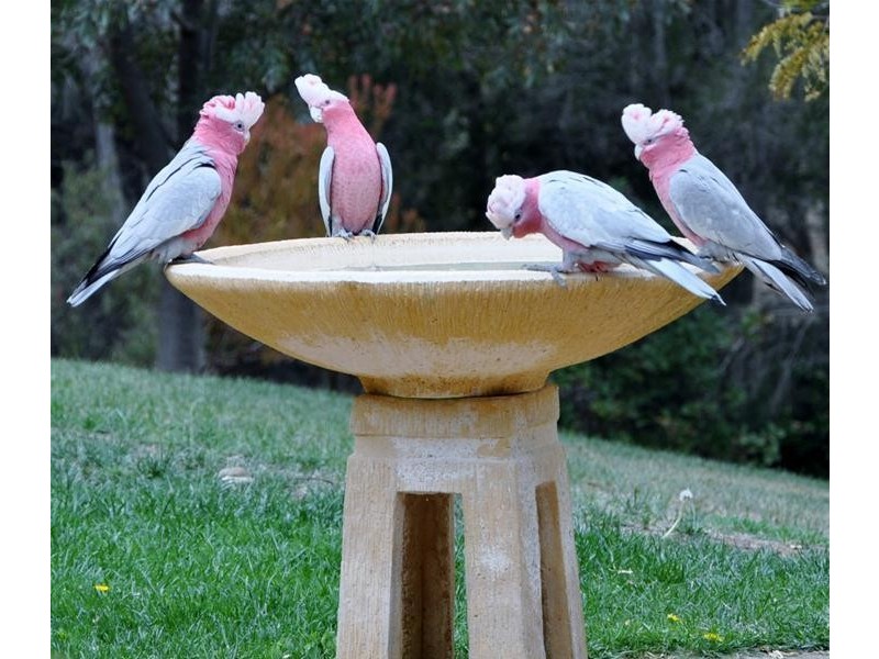 97 Gum Tree Drive, Littlehampton SA 5250