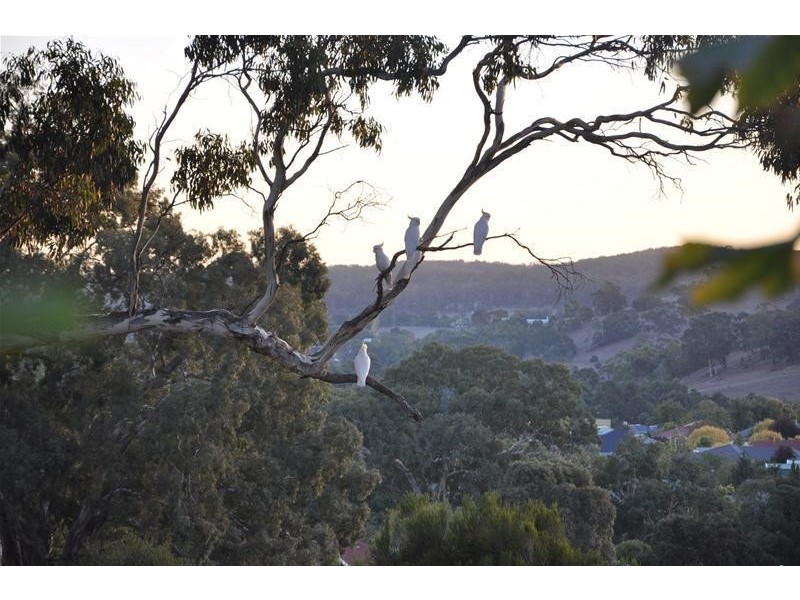 97 Gum Tree Drive, Littlehampton SA 5250