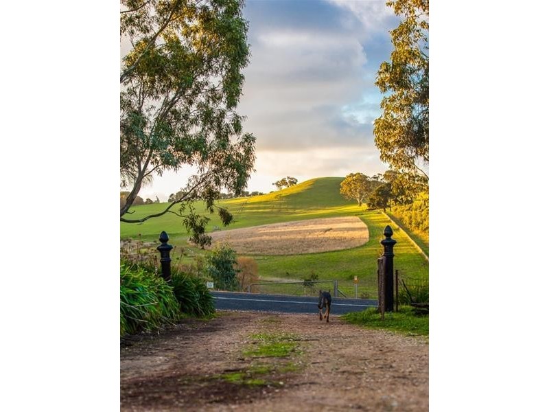 77 Pursell Road, Bugle Ranges SA 5251