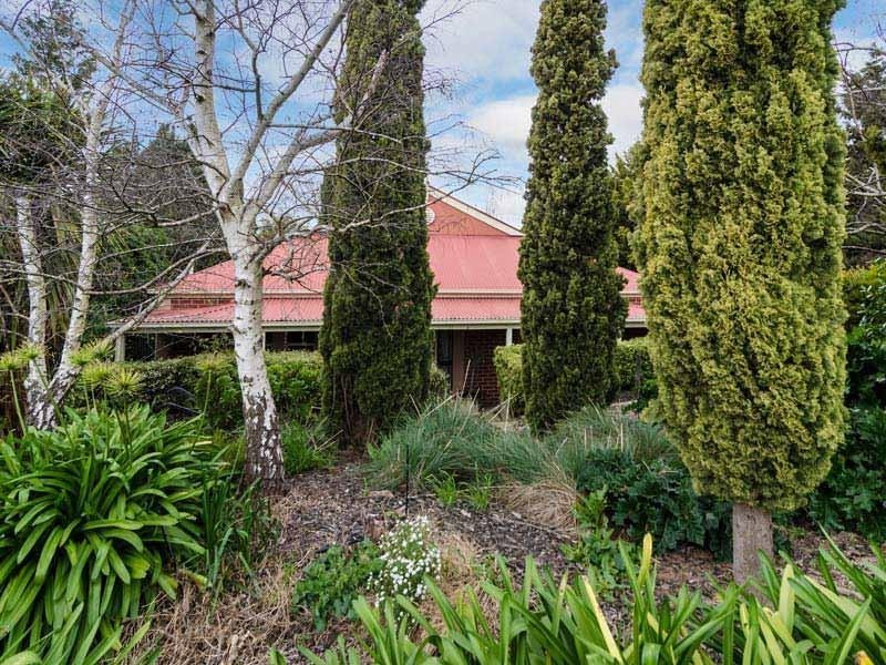 37 Jeffrey Street, Nairne SA 5252