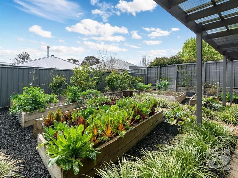 24 Greenfield Street, Mount Barker SA 5251