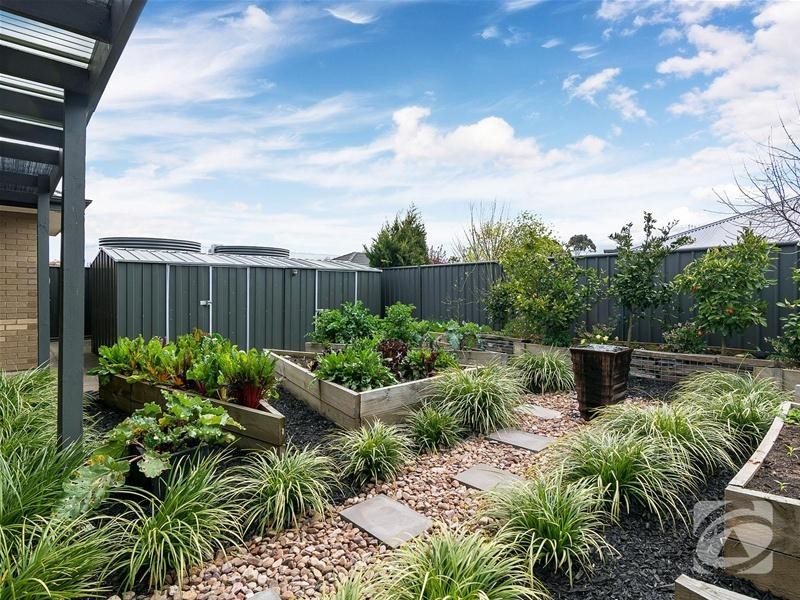 24 Greenfield Street, Mount Barker SA 5251