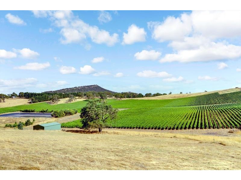 135 Jeffrey Street, Nairne SA 5252