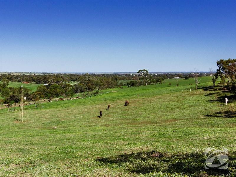 1270 Long Valley Road, Strathalbyn SA 5255
