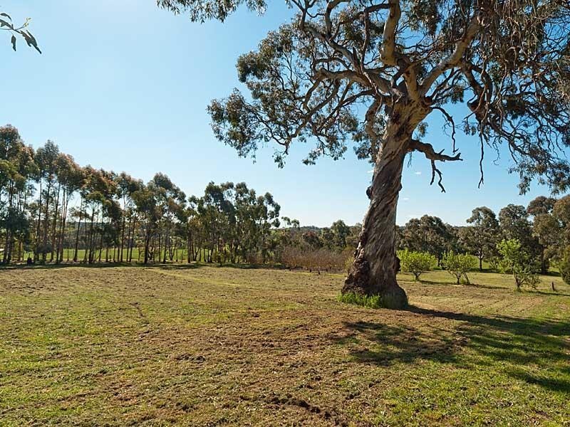 91 Blakiston Road, Blakiston SA 5250