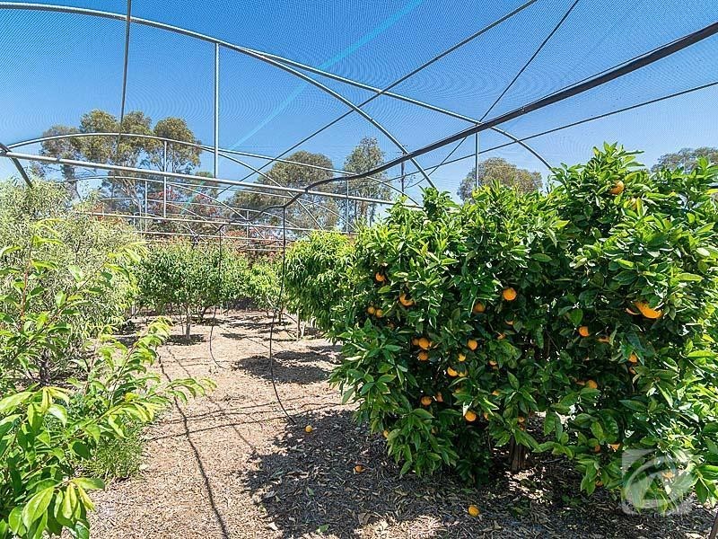 27 Angas Plains Road, Belvidere SA 5255