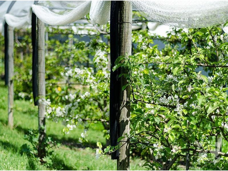 8 Johns Lane, Hahndorf SA 5245