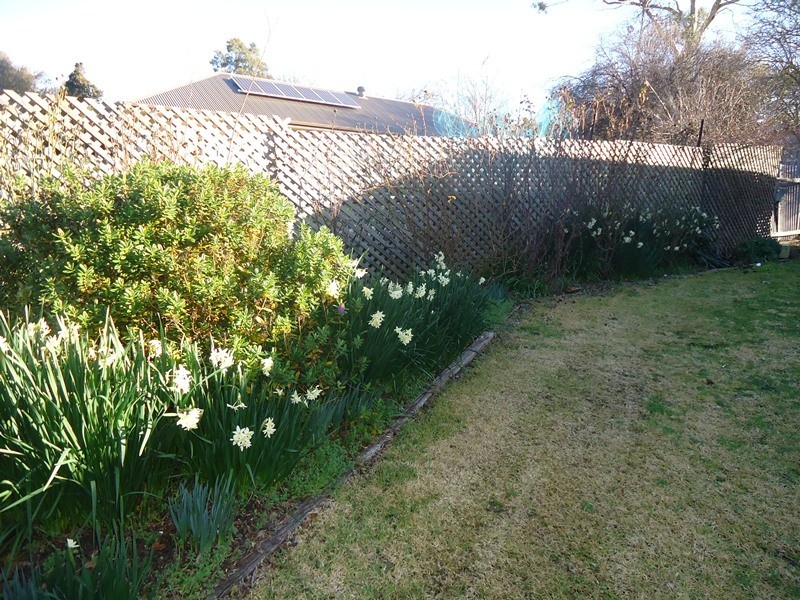 24 Albert Road, Mount Barker SA 5251