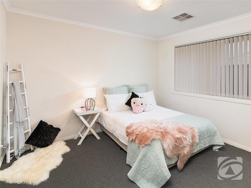 17 Carlson Street, Mount Barker SA 5251