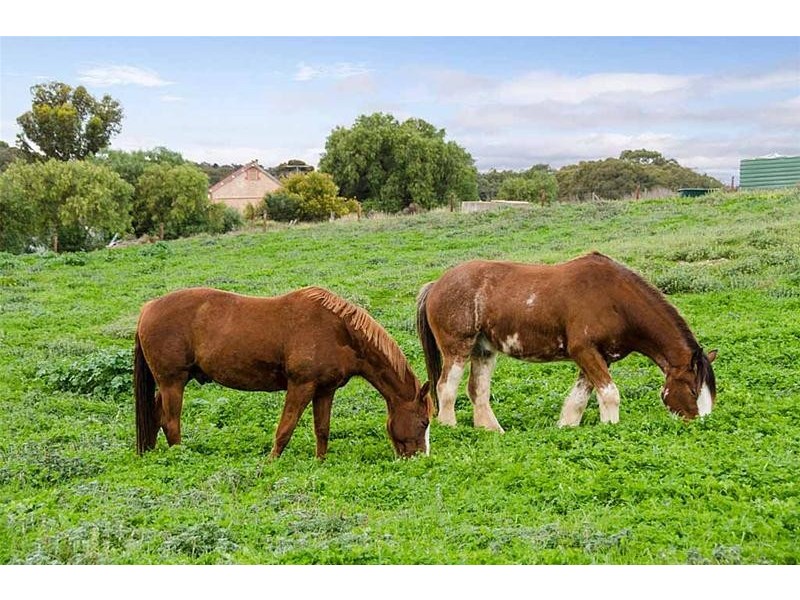 60 Chaunceys Line, Hartley SA 5255